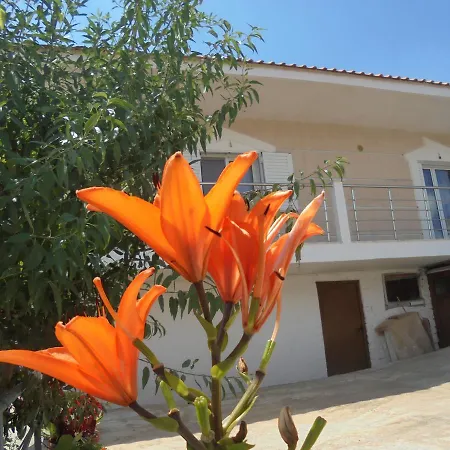 شقة Vila Ari بورش
