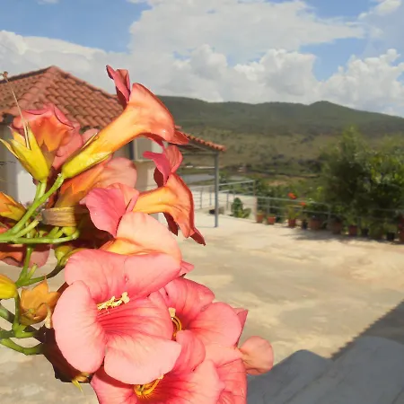 Vila Ari *