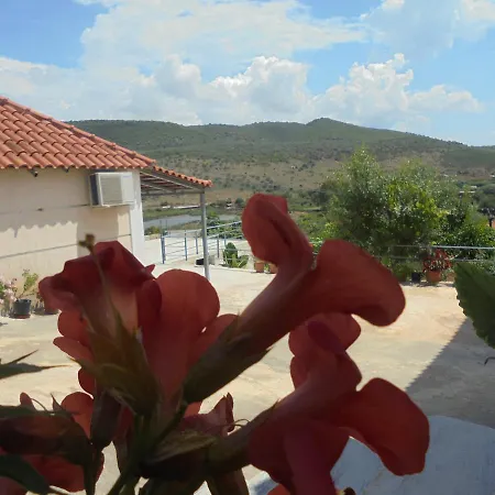 Vila Ari Borsh