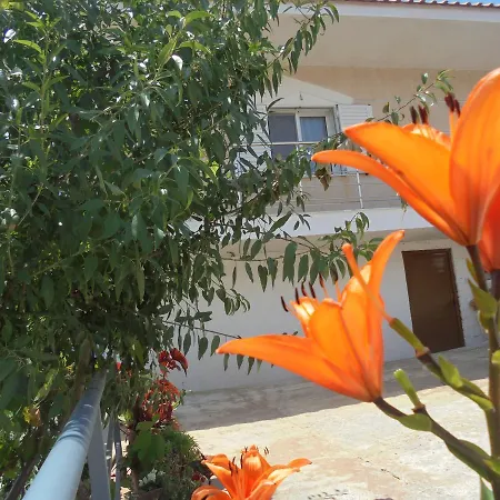 Vila Ari شقة