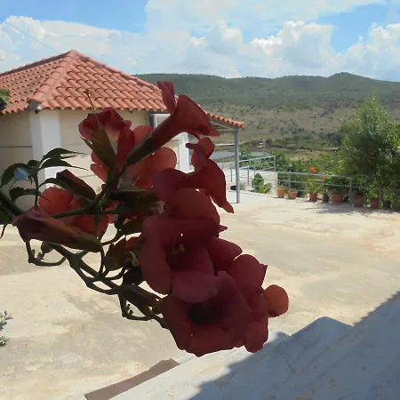 شقة Vila Ari *