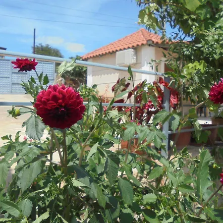 Vila Ari Appartement Borsh